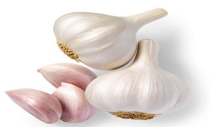 Garlic Benefits for Health