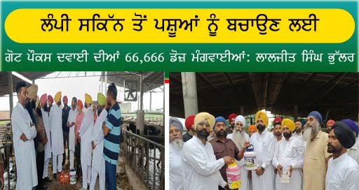 ਲੰਪੀ ਸਕਿੱਨ ਤੋਂ ਪਸ਼ੂਆਂ ਨੂੰ ਬਚਾਉਣ ਲਈ ਗੋਟ ਪੌਕਸ ਦਵਾਈ ਦੀਆਂ 66,666 ਡੋਜ਼ ਮੰਗਵਾਈਆਂ: ਲਾਲਜੀਤ ਸਿੰਘ ਭੁੱਲਰ