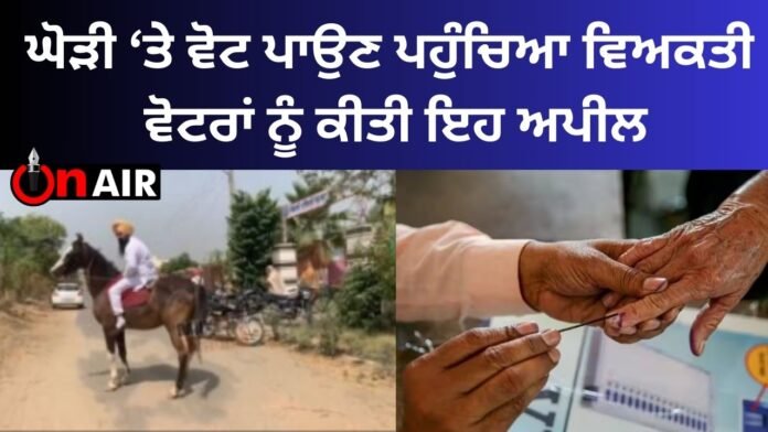 A person who came to vote on a horse, made this appeal to the voters