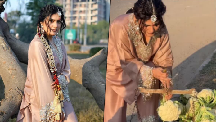 This Punjabi singer left singing and started selling cauliflower? Fans were surprised to see the video