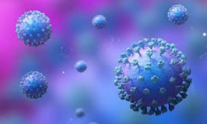 India also needs to be afraid of HMPV virus! Kerala government on high alert