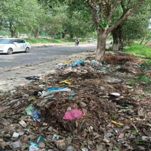 Heaps of garbage on the roadside