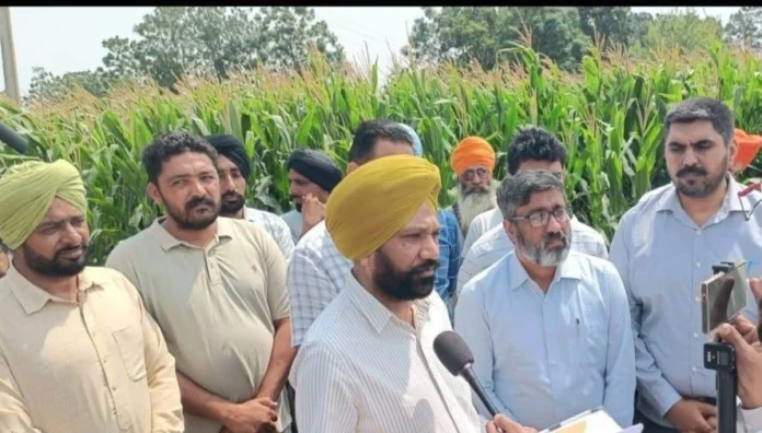 Agriculture Department
