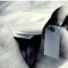 Six dead