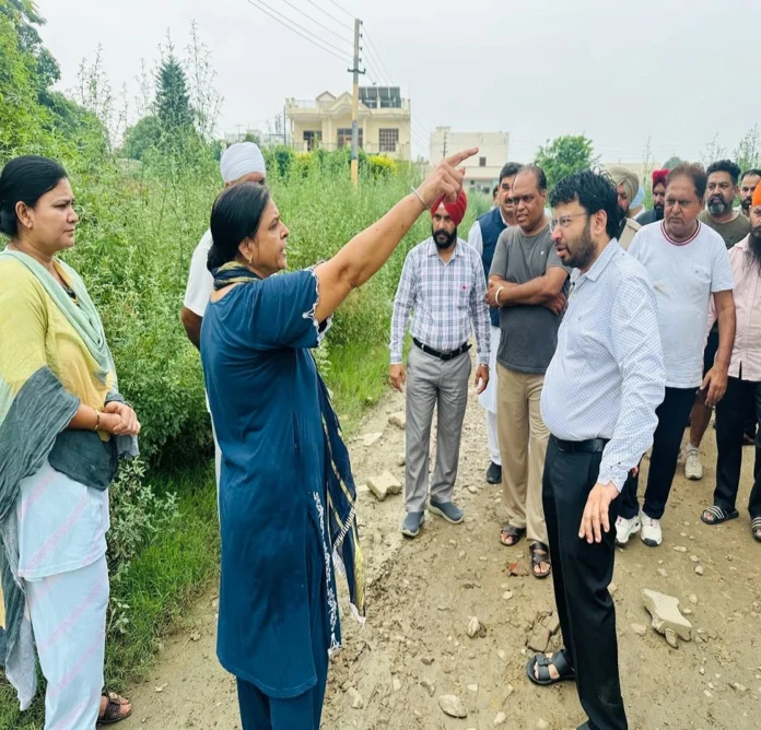 Local Government Minister