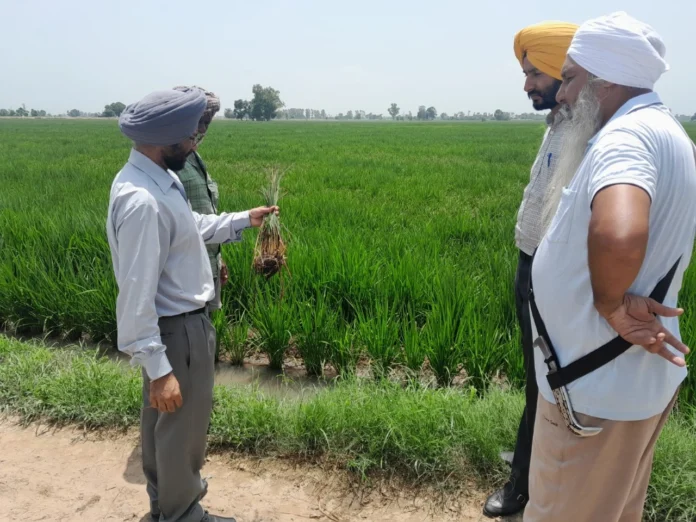 Agriculture