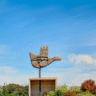 Chandigarh Administration
