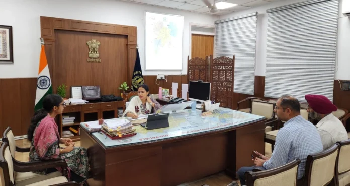 Deputy Commissioner