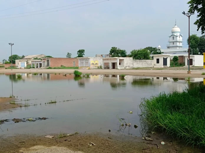 Dakala Anaj Mandi