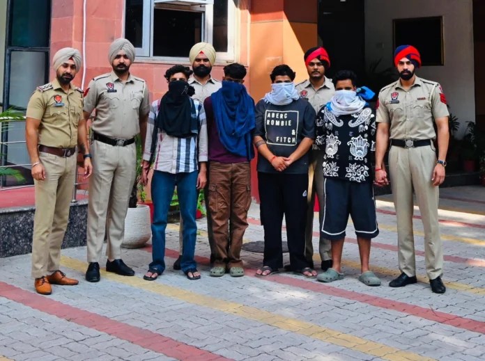 cybercrime busted