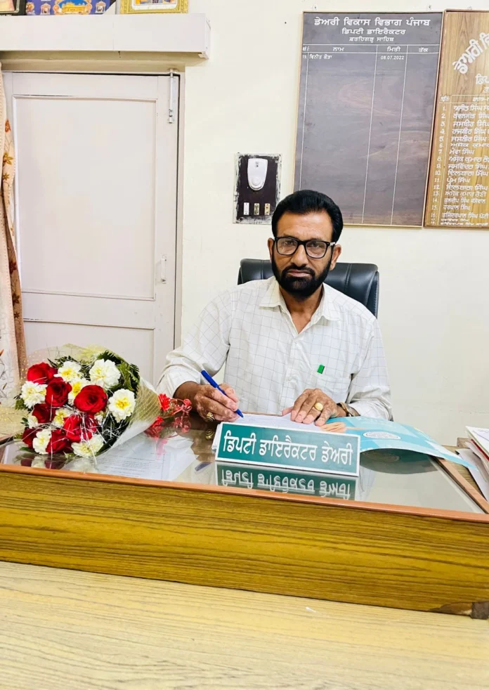 deputy dir dairy