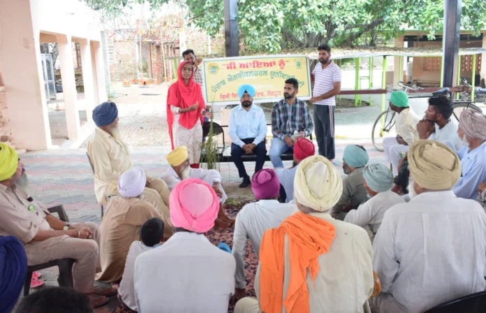 Agriculture camp