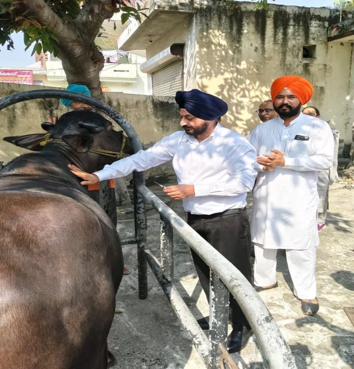Vaccination campaign