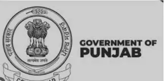 ਪੰਜਾਬ ਸਰਕਾਰ ਨੇ ਧਰਨੇ ‘ਚ ਸ਼ਾਮਲ ਸਮੁੱਚੇ ਕੱਚੇ ਮੁਲਾਜ਼ਮ ਕੀਤੇ ਮੁਅੱਤਲ Punjab government