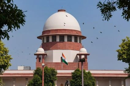 Supreme court stray dogs