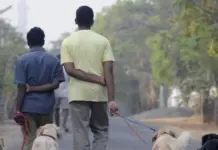 ਬਿਨਾਂ ਲਾਇਸੈਂਸ ਕੁੱਤੇ ਨੂੰ ਘੁਮਾਉਣ `ਤੇ 20 ਹਜ਼ਾਰ ਰੁਪਏ ਦਾ ਜੁਰਮਾਨਾ Muicipal Corporation