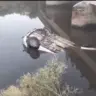 car falls into canal