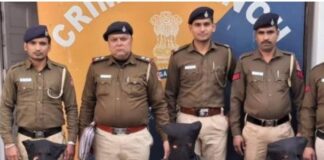 ਜਾਅਲੀ ਨੋਟ ਛਾਪਣ ਵਾਲੇ ਅੰਤਰ-ਰਾਜੀ ਗਿਰੋਹ ਦੇ ਪੰਜ ਮੈਂਬਰ ਗ੍ਰਿਫ਼ਤਾਰ Crime Branch Police