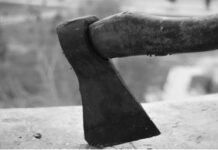 ਪਤੀ ਨੇ ਕੀਤਾ ਪਤਨੀ ਦਾ ਕੁਹਾੜੀ ਮਾਰ ਕੇ ਕਤਲ killed