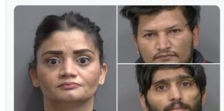 ਵਾਹਨ ਚੋਰੀ ਮਾਮਲੇ ਵਿਚ ਭਾਰਤੀ ਮੂਲ ਦੇ ਤਿੰਨ ਕੈਨੇਡੀਅਨ ਕਾਬੂ Canadians arrested