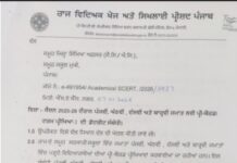 ਪੰਜਾਬ ਸਕੂਲ ਸਿੱਖਿਆ ਬੋਰਡ ਨੇ ਕੀਤੀ ਪ੍ਰੀ ਬੋਰਡ ਪ੍ਰੀਖਿਆ ਡੇਟਸ਼ੀਟ ਜਾਰੀ Date Sheet
