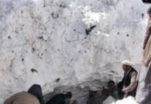 ਖੈਬਰ ਪਖਤੂਨਖਵਾ ਵਿਖੇ ਬਰਫਬਾਰੀ ਕਾਰਨ ਇੱਕੋ ਪਰਿਵਾਰ ਦੇ ਨੌ ਮੈਂਬਰਾਂ ਦੀ ਮੌਤ Khyber Pakhtunkhwa