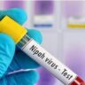 Nipah Virus