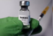 ਐਨ. ਐਮ. ਸੀ. ਨੇ ਦਿੱਤੇ ਹਸਪਤਾਲਾਂ ਵਿਚ ਰੇਬੀਜ਼ ਰੋਕੂ ਟੀਕੇ ਉਪਲੱਬਧ ਰੱਖਣ ਦੇ ਹੁਕਮ vaccines