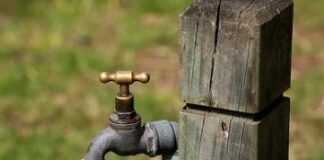 ਕੇਂਦਰੀ ਭੂਮੀਗਤ ਜਲ ਬੋਰਡ ਨੇ ਪੰਜਾਬ ਦੇ ਕਈ ਜ਼ਿਲਿਆਂ ਦੇ ਪਾਣੀ ਦਾ ਅੰਕੜਾ ਜਾਰੀ Central Ground Water Board