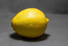 ਨਿਲਾਮੀ ਦੌਰਾਨ ਇਕ ਨਿੰਬੂ 13,000 ਰੁਪਏ `ਚ ਵਿਕਿਆ Lemon