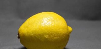 ਨਿਲਾਮੀ ਦੌਰਾਨ ਇਕ ਨਿੰਬੂ 13,000 ਰੁਪਏ `ਚ ਵਿਕਿਆ Lemon