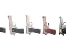 ਕਪੂਰਥਲਾ ਪੁਲਸ ਨੇ ਕੀਤਾ ਗੈਰ-ਕਾਨੂੰਨੀ ਹਥਿਆਰਾਂ ਦੇ ਮਾਡਿਊਲ ਦਾ ਪਰਦਾ ਫਾਸ਼ Arms