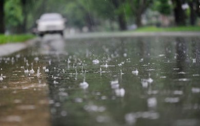 Meteorological Department Meteorological Department