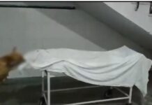 ਤੇਲੰਗਾਨਾ ਦੇ ਸਰਕਾਰੀ ਹਸਪਤਾਲ `ਚ ਕੁੱਤੇ ਨੇ ਲਾਸ਼ ਨੂੰ ਨੋਚਿਆ Telangana