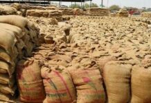 ਪੰਜਾਬ ਸਰਕਾਰ ਨੇ ਕੇਂਦਰ ਨੂੰ ਪੱਤਰ ਲਿਖ ਕੇ ਕੀਤੀ ਕਣਕ ਦੀ ਚੁਕਾਈ ਦੀ ਮੰਗ wheat