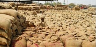 ਪੰਜਾਬ ਸਰਕਾਰ ਨੇ ਕੇਂਦਰ ਨੂੰ ਪੱਤਰ ਲਿਖ ਕੇ ਕੀਤੀ ਕਣਕ ਦੀ ਚੁਕਾਈ ਦੀ ਮੰਗ wheat