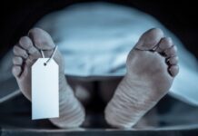 ਟੈ੍ਰਕਟਰ ਚਲਾ ਰਹੇ ਨੌਜਵਾਨ ਦੀ ਟੈ੍ਰਕਟਰ ਹੇਠਾਂ ਆਉਣ ਕਾਰਨ ਹੋਈ ਮੌਤ Dead