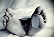 ਕੈਨੇਡਾ ਵਿਖੇ ਸੜਕ ਹਾਦਸੇ ਵਿਚ ਪੰਜਾਬੀ ਮੂਲ ਦੇ ਵਿਅਕਤੀ ਦੀ ਹੋਈ ਮੌਤ Death