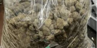 ਅੰਮ੍ਰਿਤਸਰ ਹਵਾਈ ਅੱਡੇ ‘ਤੇ ਯਾਤਰੀ ਨੂੰ ਕਸਟਮ ਵਿਭਾਗ ਨੇ ਕੀਤਾ ਗਾਂਜੇ ਸਮੇਤ ਗ੍ਰਿਫ਼ਤਾਰ Ganja