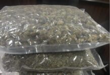 ਅੰਮ੍ਰਿਤਸਰ ਹਵਾਈ ਅੱਡੇ `ਤੇ ਕਸਟਮ ਨੇ ਪਕੜਿਆ ਕਰੋੜਾਂ ਰੁਪਏ ਦਾ ਗਾਂਜਾ Ganza