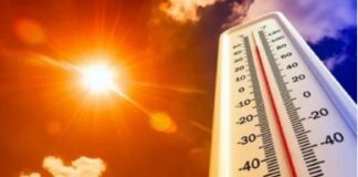 ਮੱਧ ਪ੍ਰਦੇਸ਼ ਵਿਚ ਰਾਤ ਨੂੰ ਵੀ ਹੀਟਵੇਵ ਜਾਰੀ ਰਹਿਣ ਦੀ ਚਿਤਾਵਨੀ Heatwave