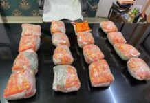 ਕਪੂਰਥਲਾ ਪੁਲਸ ਨੇ ਚਾਰ ਨੂੰ ਕੀਤਾ 16. 8 ਕਿਲੋਗ੍ਰਾਮ ਹੈਰੋਇਨ ਸਮੇਤ ਗ੍ਰਿਫ਼ਤਾਰ heroin