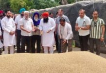 ਸੂਬੇ ਦੀਆਂ ਮੰਡੀਆਂ ਵਿਚ ਕਣਕ ਦੀ ਖਰੀਦ ਸੁਚਾਰੂ ਢੰਗ ਨਾਲ ਜਾਰੀ ਹੈ : ਕਟਾਰੂਚੱਕ Kataruchak