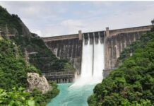 ਬੀ. ਬੀ. ਐਮ. ਬੀ. ਨੂੰ ਹਰਿਆਣਾ ਨੇ ਲਿਖਿਆ ਇਕ ਪੱਤਰ Satluj