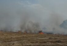 30 ਏਕੜ ਕਣਕ ਦੀ ਫਸਲ ਤੇ 10 ਏਕੜ ਨਾੜ ਸਮੇਤ ਟੈ੍ਕਟਰ ਸੜਿਆ Wheet Burn