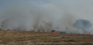 30 ਏਕੜ ਕਣਕ ਦੀ ਫਸਲ ਤੇ 10 ਏਕੜ ਨਾੜ ਸਮੇਤ ਟੈ੍ਕਟਰ ਸੜਿਆ Wheet Burn