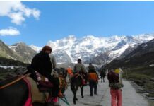 ਚਾਰ ਧਾਮ ਯਾਤਰਾ ‘ਤੇ ਜਾ ਰਹੇ ਇਕ ਮਹਿਲਾ ਤੇ ਪੁਰਸ਼ ਦੀ ਹੋਈ ਮੌਤ Yatra