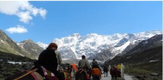 ਚਾਰ ਧਾਮ ਯਾਤਰਾ ‘ਤੇ ਜਾ ਰਹੇ ਇਕ ਮਹਿਲਾ ਤੇ ਪੁਰਸ਼ ਦੀ ਹੋਈ ਮੌਤ Yatra