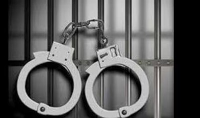 Arrest arrested