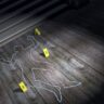 Murder